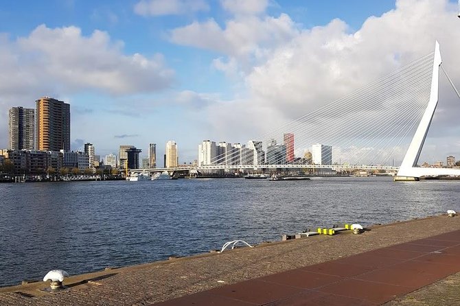 Hague and Rotterdam Private Day Trip From Amsterdam - Pricing and Booking Details